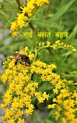 आई बसंत बहार