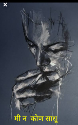 मी न  कोण साधू