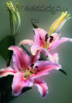 'హరీ!'శతకపద్యములు