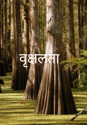 वृक्षलता