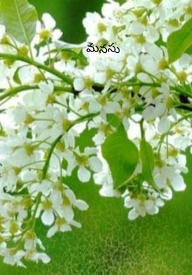 మనసు