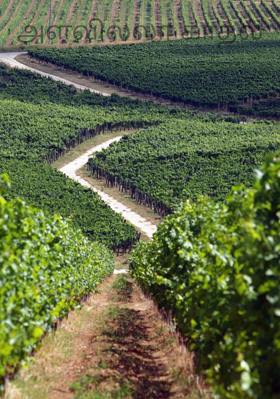 அளவில்லா காதல்