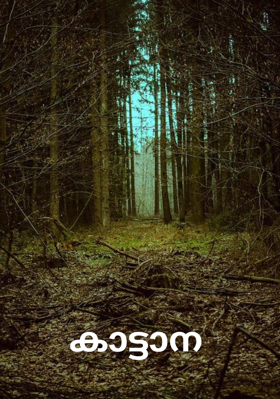 കാട്ടാന