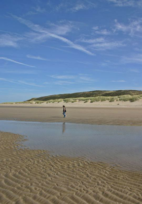 स्वामी विवेकानंद