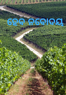 ହେବ ନବୋଦୟ