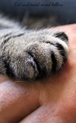 Cat And Maid Serial Killers