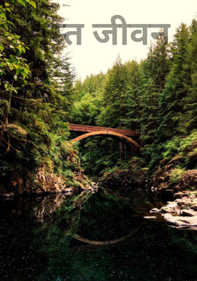 मस्त जीवन