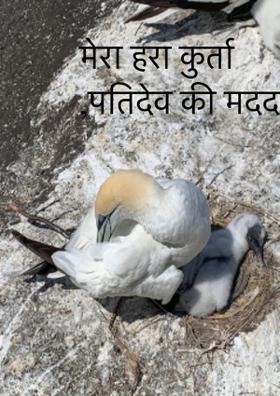 मेरा हरा कुर्ता ,पतिदेव की मदद