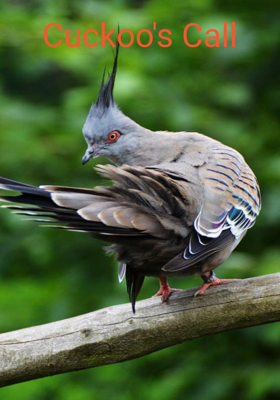 Cuckoo's Call