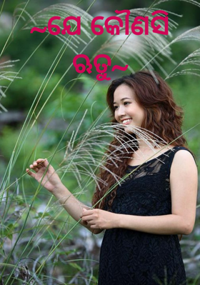 ଯେ କୌଣସି ଋତୁ