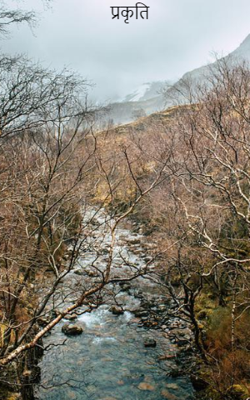 प्रकृति