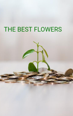 The Best Flowers