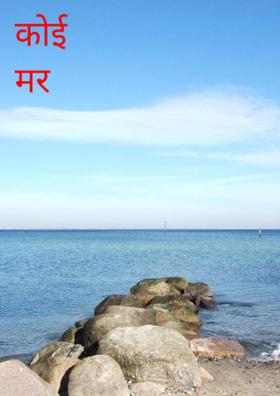 कोई मर गया