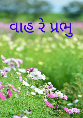 વાહ રે પ્રભુ