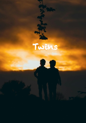 Twins