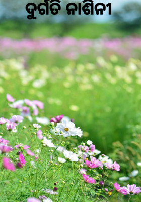 ଦୁର୍ଗତି ନାଶିନୀ