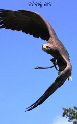 କହିବାକୁ ଲାଜ