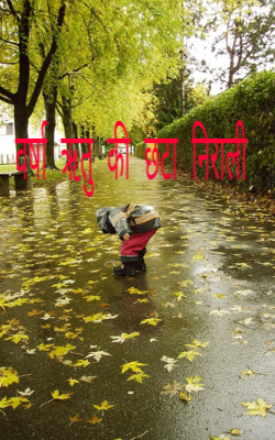 वर्षा ऋतु की छटा निराली