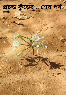 প্রচন্ড কুঁড়ের .. শেষ পর্ব