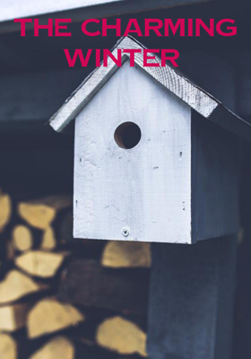 THE CHARMING WINTER