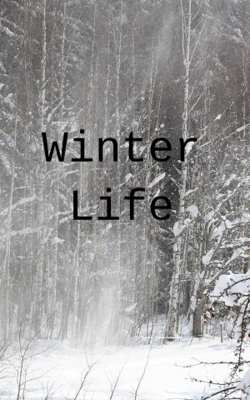 Winter Life