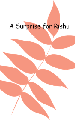 A Surprise For Rishu