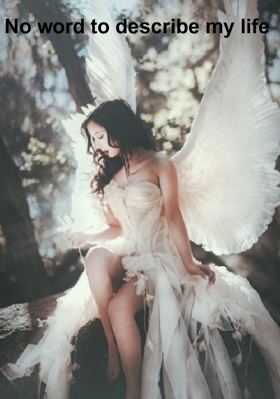 No Word To Describe My Life