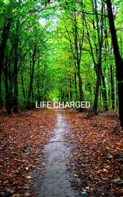 LIFE CHARGED 