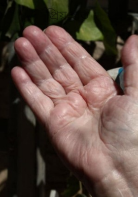 প্রিয় হাত