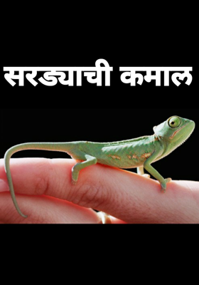 सरड्याची कमाल