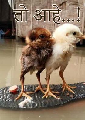 तो आहे...!