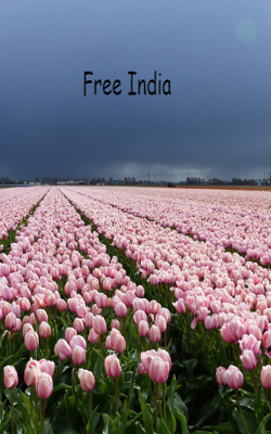 Free India