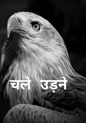 चले उड़ने