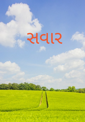 સવાર