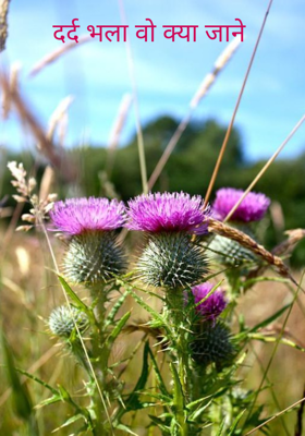 दर्द भला वो क्या जाने 