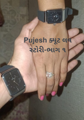 Pujesh ક્યૂટ લવ સ્ટોરી-ભાગ ૧