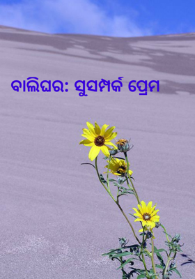 ବାଲିଘର: ସୁସମ୍ପର୍କ ପ୍ରେମ