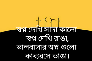 স্বপ্ন দেখি সাদা কালো 
স্বপ্ন দেখি রাঙা,
ভালবাসার স্বপ্ন গুলো 
কাব্যরসে ভাঙা।