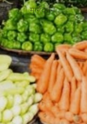 मार्गदर्शन