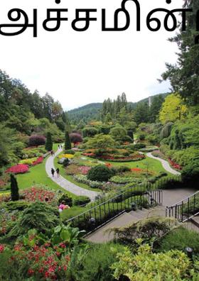 அச்சமின்றி