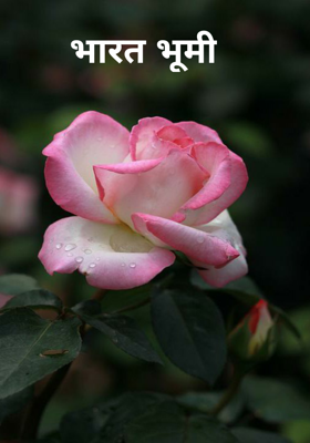 भारतभूमी