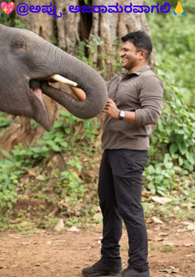 💖@ಅಪ್ಪು_ಅಜರಾಮರವಾಗಲಿ🙏