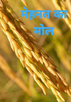 मेहनत का मोल