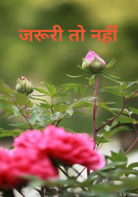 जरूरी तो नहीं