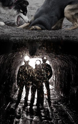 My Heart Needs Somewhere To Belong