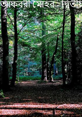 আকবরী মোহর - দ্বিতীয় পর্ব