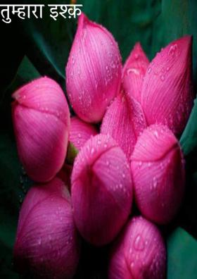 तुम्हारा इश्क़