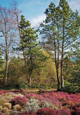 कवी त्याची कविता वाचतो