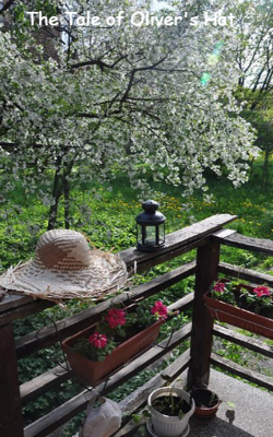 The Tale of Oliver's Hat
