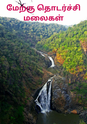 மேற்கு தொடர்ச்சி மலைகளின்  கட்டுரை